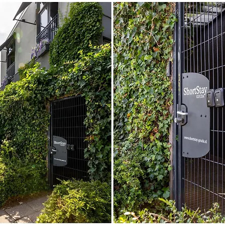 Shortstay * ゴーダ